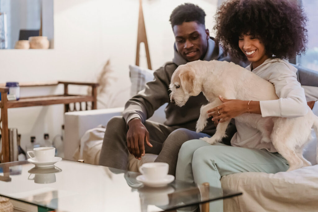 A young couple sitting on a white sofa and smiling while playing with a small scruffy white dog